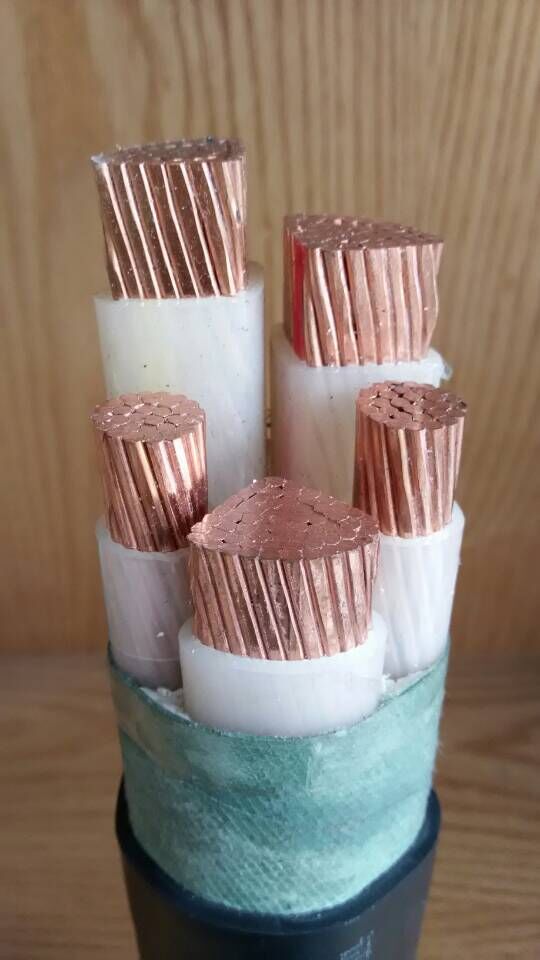 1573459310152891.jpg 1573459310152891.jpg